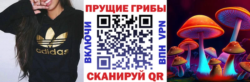 сколько стоит  Учалы  Галлюциногенные грибы MAGIC MUSHROOMS 